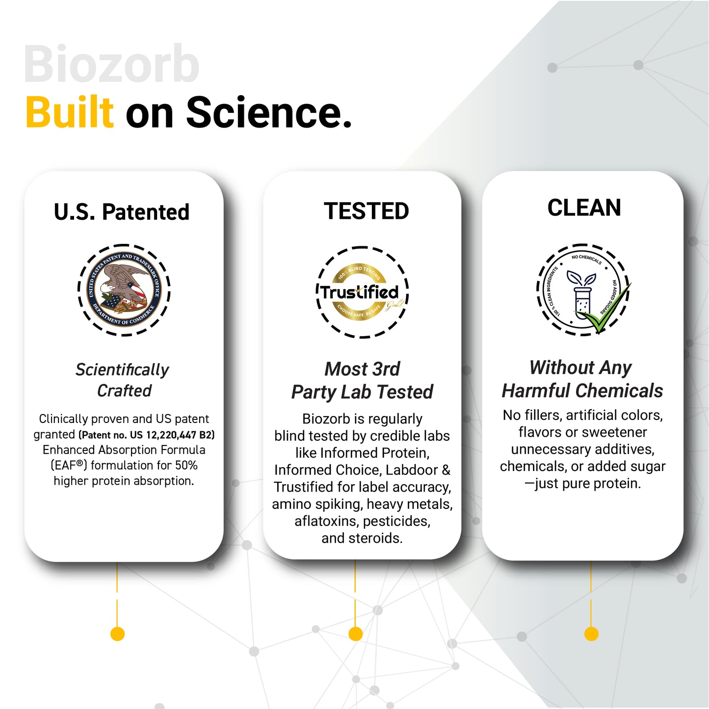 MuscleBlaze Biozorb Performance Whey