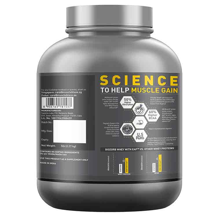 MuscleBlaze Biozorb Performance Whey 5 lb Rich Chocolate with Shaker