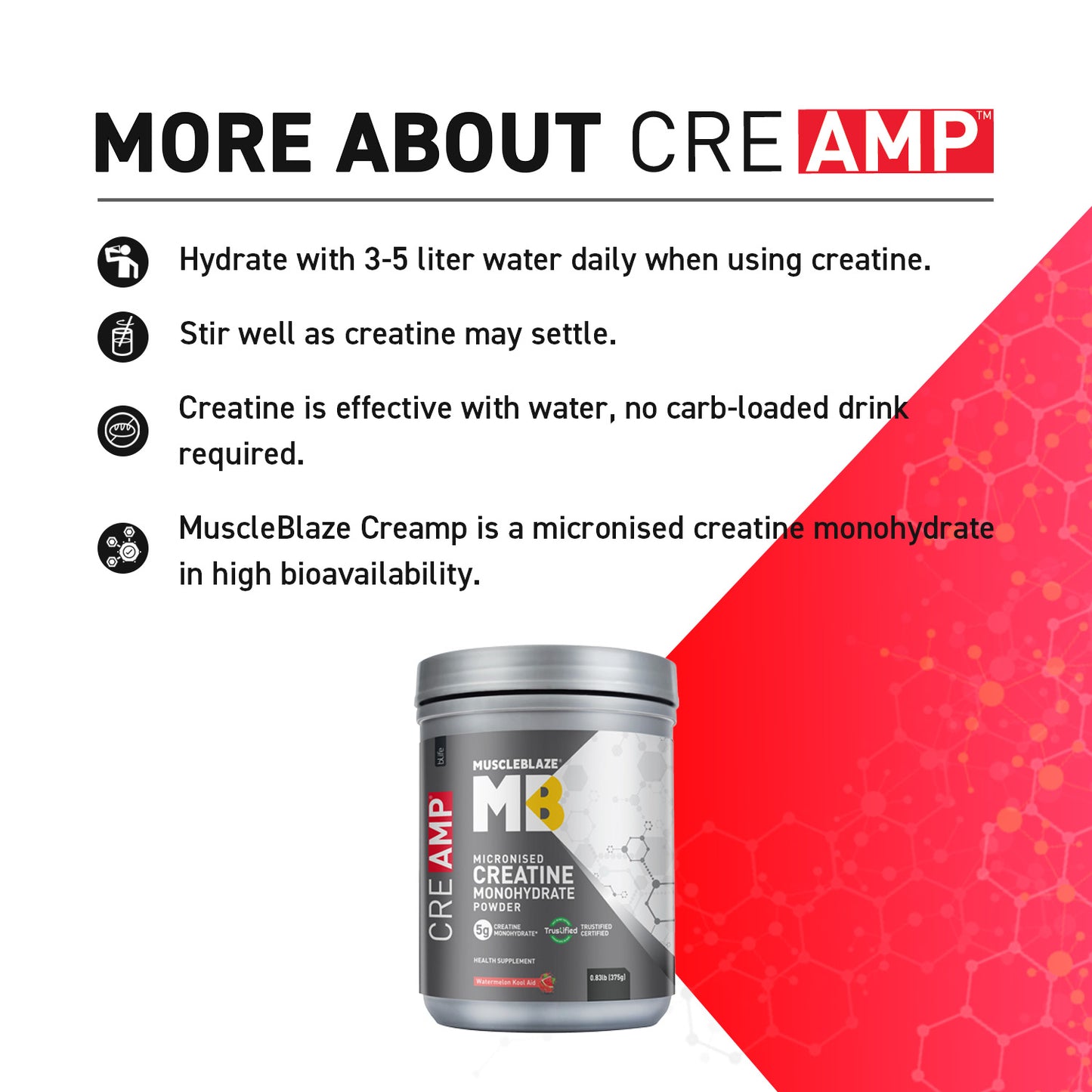 MuscleBlaze Creatine Monohydrate CreAMP 0.83 lb Watermelon Cool Aid Pack of 2 and Shaker